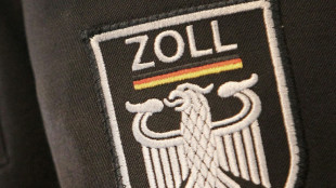Zollbeamte entdecken an Karlsruher Flughafen 23 geschützte Korallen in Gepäck