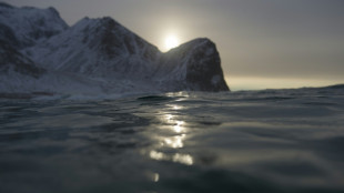 Norwegen legt Tiefseebergbau vorerst auf Eis - Umweltschützer erleichtert