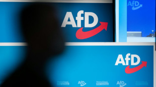 Nach Wahl von AfD-Kandidat in Pirna: Freie W&auml;hler kritisieren CDU