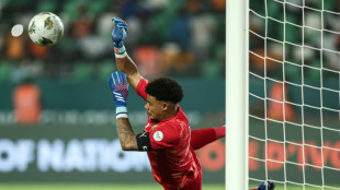 CAN: Williams le h&eacute;ros qualifie l'Afrique du Sud pour les demi-finales