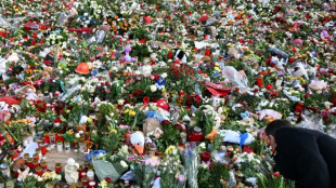 Arabia hab&iacute;a pedido a Alemania la extradici&oacute;n del sospechoso del ataque contra un mercado de Navidad