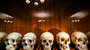 Foetus et squelettes: dans un musée américain, des restes humains au coeur d'un débat éthique
