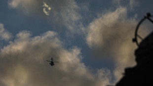 A Gaza operatrice umanitaria uccisa con due figli piccoli