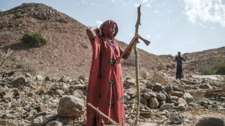 "&iquest;Por qu&eacute; nos ignoran?", claman los desplazados fuera de Tigr&eacute; en Etiop&iacute;a