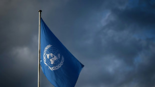 Brevets et ressources g&eacute;n&eacute;tiques: n&eacute;gociations &agrave; l'ONU pour barrer la route aux biopirates