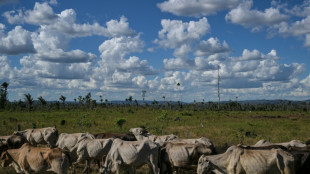 Para evitar el abismo, Guterres y Lula llaman a no abandonar la lucha por el clima