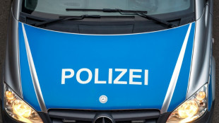 Viehanh&auml;nger auf Autobahn in Th&uuml;ringen umgekippt: K&uuml;he auf der Fahrbahn 