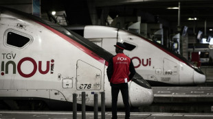 SNCF: des trains à l'heure malgré la grève