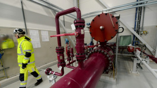Institut: "Mutma&szlig;liche Explosion" vor Leck an finnisch-estnischer Gaspipeline