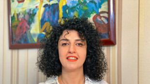 Iran: Narges Mohammadi, prix Nobel de la paix, en gr&egrave;ve de la faim en prison, selon son avocate
