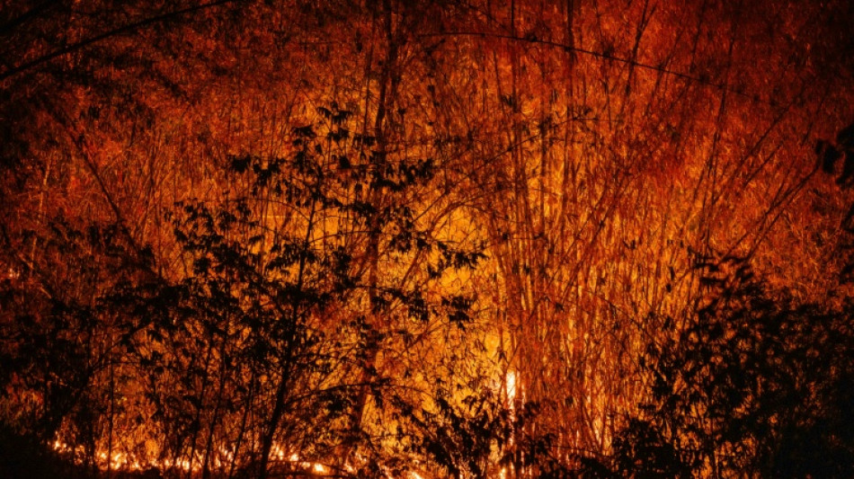 "Es sofocante": una nube contaminante asfixia el norte de Tailandia