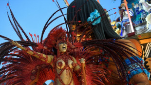 Covid: le Brésil reporte les défilés de ses célébrissimes carnavals à avril
