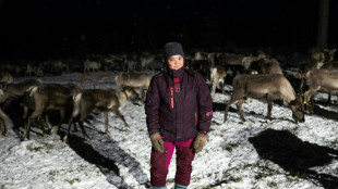 En Finlande, l'élevage ancestral des rennes séduit à nouveau les jeunes