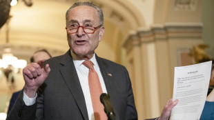 US Democrats call for criminal probe into Big Oil price-fixing