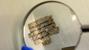 Isra&euml;l d&eacute;voile un papyrus vieux de 2.700 ans rapatri&eacute; des Etats-Unis 