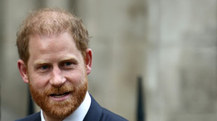 Une ONG africaine poursuit Harry pour atteinte &agrave; sa r&eacute;putation