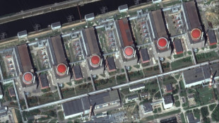 Ucrania advierte de riesgos de radiaci&oacute;n por bombardeos rusos en zona de central nuclear