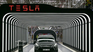 Un groupe d'extr&ecirc;me gauche "sabote" une usine Tesla en Allemagne