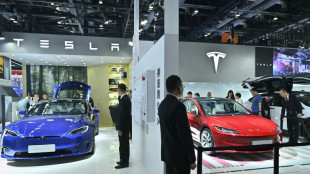 Tesla comienza a construir su segunda megaf&aacute;brica de bater&iacute;as en Shangh&aacute;i