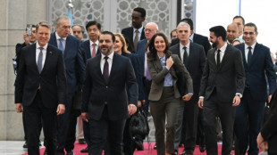 Erstmals Delegation des UN-Sicherheitsrats in Syrien  - Hilfe zugesagt