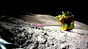 Le module lunaire japonais a repris du service