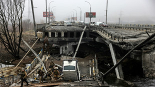 Ucrania recupera la regi&oacute;n de Kiev, devastada por la guerra con Rusia