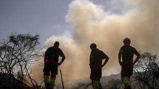 Ondata di calore nella Penisola Iberica, alto rischio di incendi