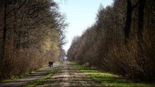 Paris-Roubaix: cinq choses &agrave; savoir sur l'Enfer du Nord