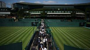 Wimbledon: jouer sur gazon, un art difficile