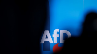 Verfassungssch&uuml;tzer Kramer: AfD-Plan f&uuml;r Jugendorganisation "Ablenkungsman&ouml;ver"