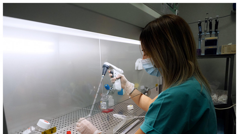 In un gene di lievito l'arma contro le malattie mitocondriali