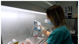 Pronte nuove molecole anti-cancro, uccidono le cellule più forti
