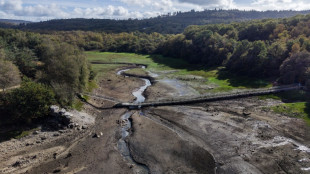 En plein automne, la Bretagne "&agrave; deux doigts de la rupture" en eau potable