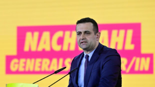 FDP kommt Union in Streit um B&uuml;rgergeld bei Sanktionen entgegen