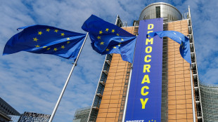 Ue, 'Italia attui riforma su diffamazione, pi&ugrave; sforzi su libert&agrave; stampa'