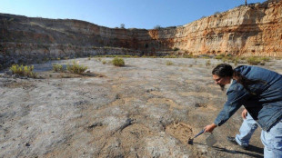 Scoperte le impronte dei dinosauri con la coda a mazza chiodata