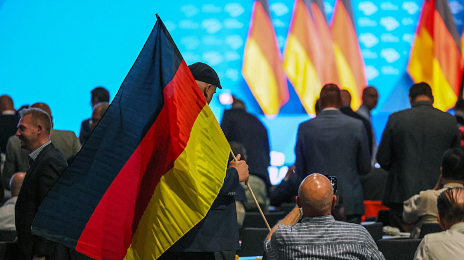 Sondaggio, 'AfD per la prima volta in testa a Berlino a due mesi dal voto'