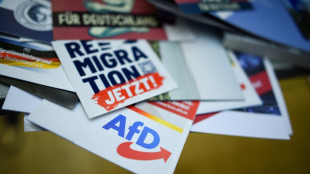 Grüne wollen AfD-Verbotsverfahren vorantreiben - mit Union, SPD und Linker
