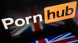 Protection des mineurs: enqu&ecirc;te au Royaume-Uni sur les v&eacute;rifications d'&acirc;ge de Pornhub