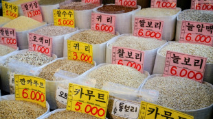 Zoll in D&uuml;sseldorf l&auml;sst &uuml;ber 40 Tonnen mit Mineral&ouml;l belasteten Reis vernichten