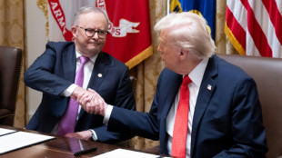 Terres rares: l'accord Washington-Canberra peut défier la domination chinoise, selon un patron du secteur
