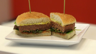 Le Parlement européen dit non au "steak végétal"