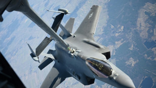 L'Allemagne compte acheter jusqu'à 35 avions de combat F-35 américains
