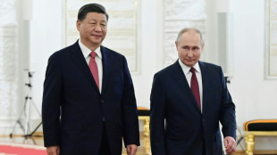 Poutine et Xi donnent le feu vert &agrave; un gigantesque gazoduc