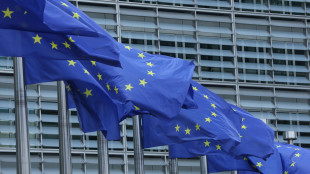 Ue, 'domani la sospensione per sei mesi dei controdazi'