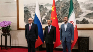 Un alto cargo iran&iacute; se reunir&aacute; el lunes en Viena con el jefe del OIEA
