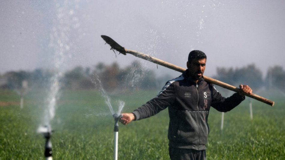 Sprinklers and drip irrigation help Iraqis&nbsp;beat drought

