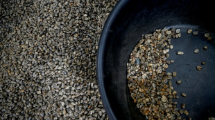 Nestl&eacute; annonce un investissement dans l'agriculture "durable" du caf&eacute;