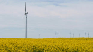 Las energías renovables, en el punto de mira tras el gran apagón en España