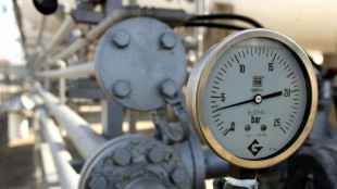 Il prezzo del gas tocca il picco a 77,13 euro, massimi da gennaio 2023